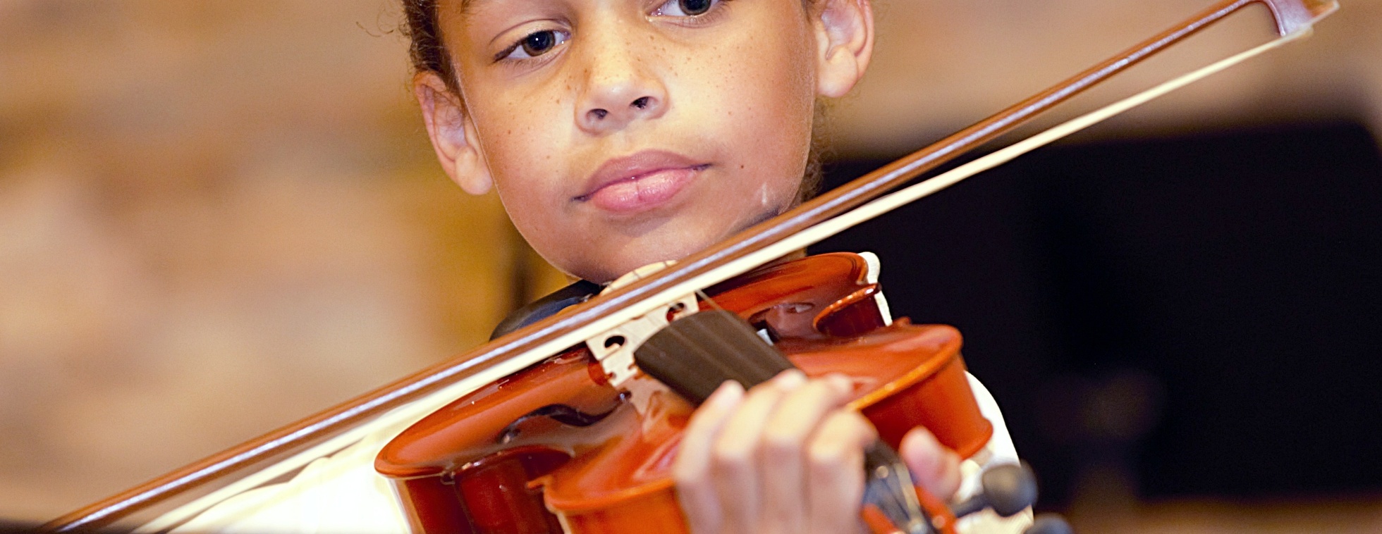 Gifford Youth Orchestra Annual Fund